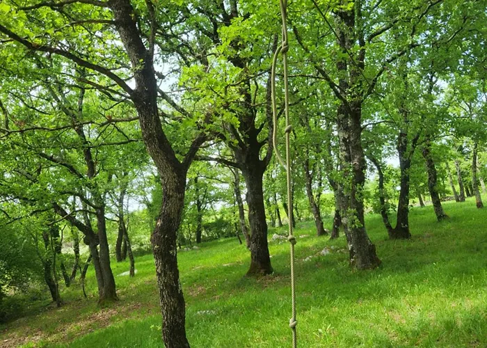 Klunj 펜션