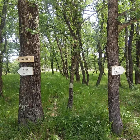 Klunj Casa vacanze *